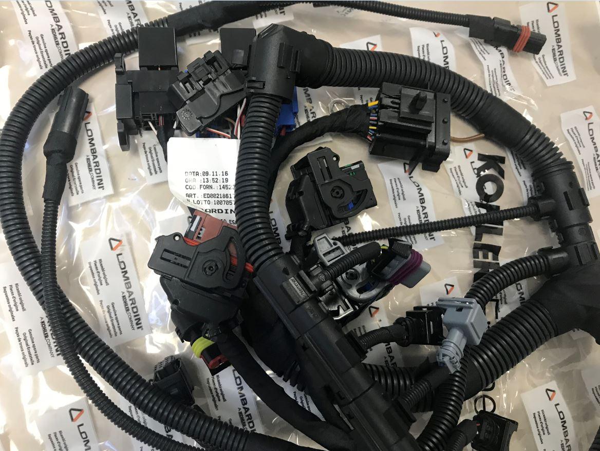 Faisceau LOMBARDINI 2186177 KOHLER ED0021861770-S /  Cablage moteur LOMBARDINI LGW523MPI