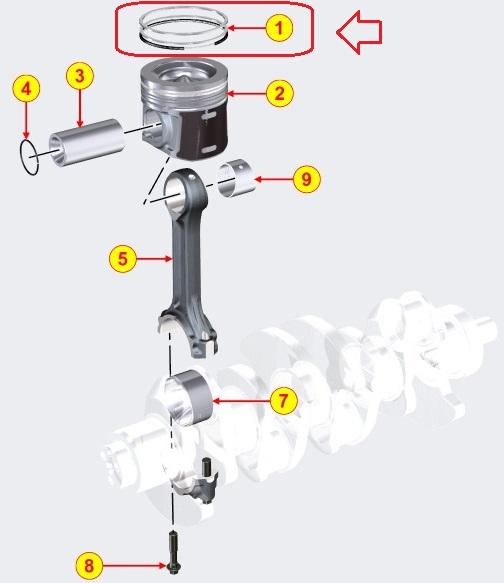 Jeu segments ED0082112210-S KOHLER KDI3404TM - Pièce d'origine KOHLER