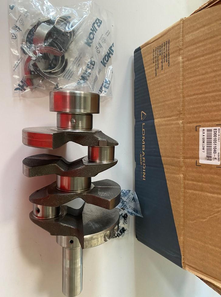 Vilebrequin LDW702 LOMBARDINI 1051104 KOHLER ED0010511040-S (avec coussinets)