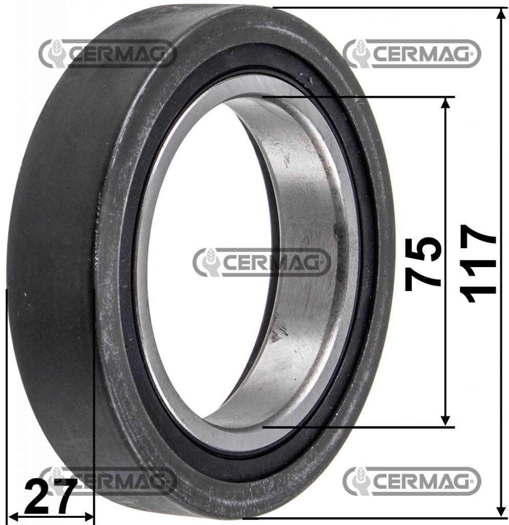 Coussinet roulement grand 15808 / GOLDONI OEM 06300081 / SAME 0.010.8738.3 /GOLDONI Idea  / SAME SUOTE S
