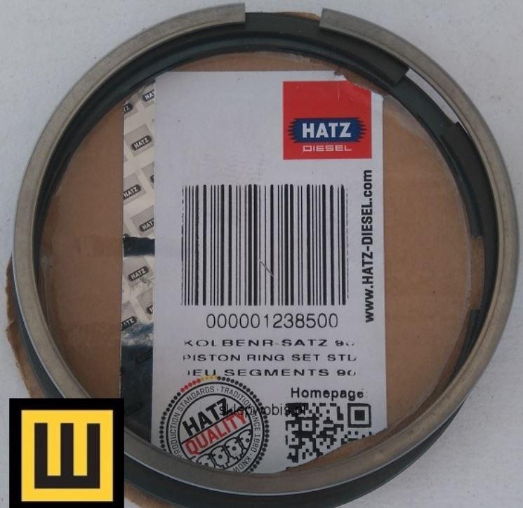 Jeu segments Ø90mm HATZ Z788 Z789 Z790 - HATZ 01238500