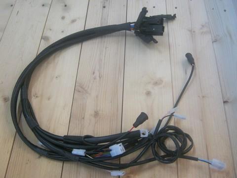 Faisceau moteur LOMBARDINI LDW1003 LDW1204 LOMBARDINI 2186272 / KOHLER ED0021862720-S