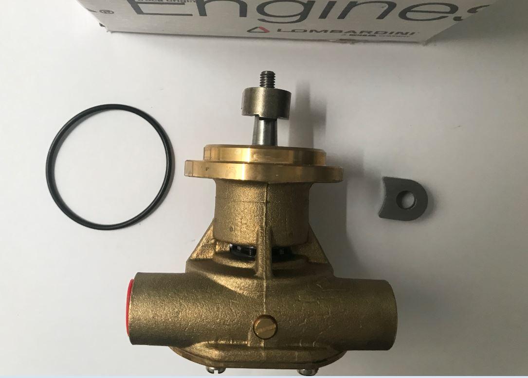 Pompe Eau Mer LDW1603M LDW2204M LDW1503M LDW2004M LOMBARDINI ED0065842460-S / JOHNSON F4 B-9 10-35355-01
