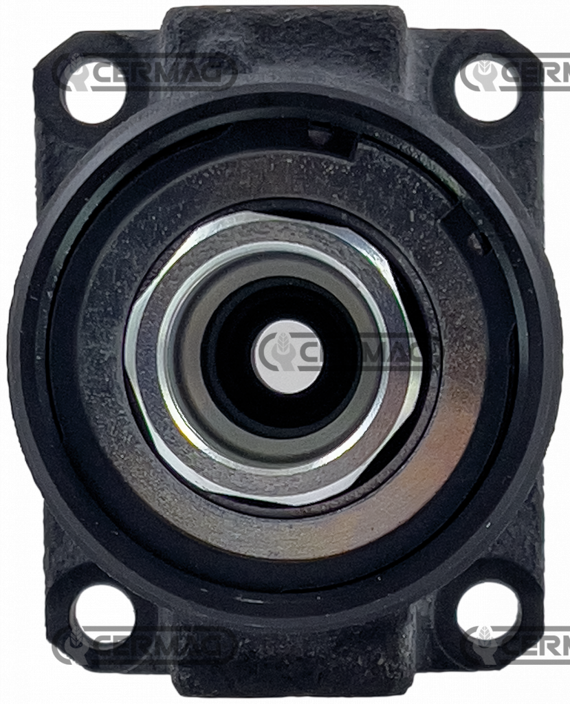 Cylindre de frein OEM GOLDONI 00043485 GOLDONI 00061687 GOLDONI Aster - Quasar - Cluster Rs Reversible / CERMAG 16252 Huile DOT 4