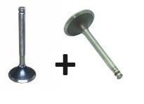 Soupape Admission ED0096521540-S + Soupape Echappement ED0096851470-S - Moteur LOMBARDINI LGA340 - LOMBARDINI 239.9685.147 + 239.9652.154