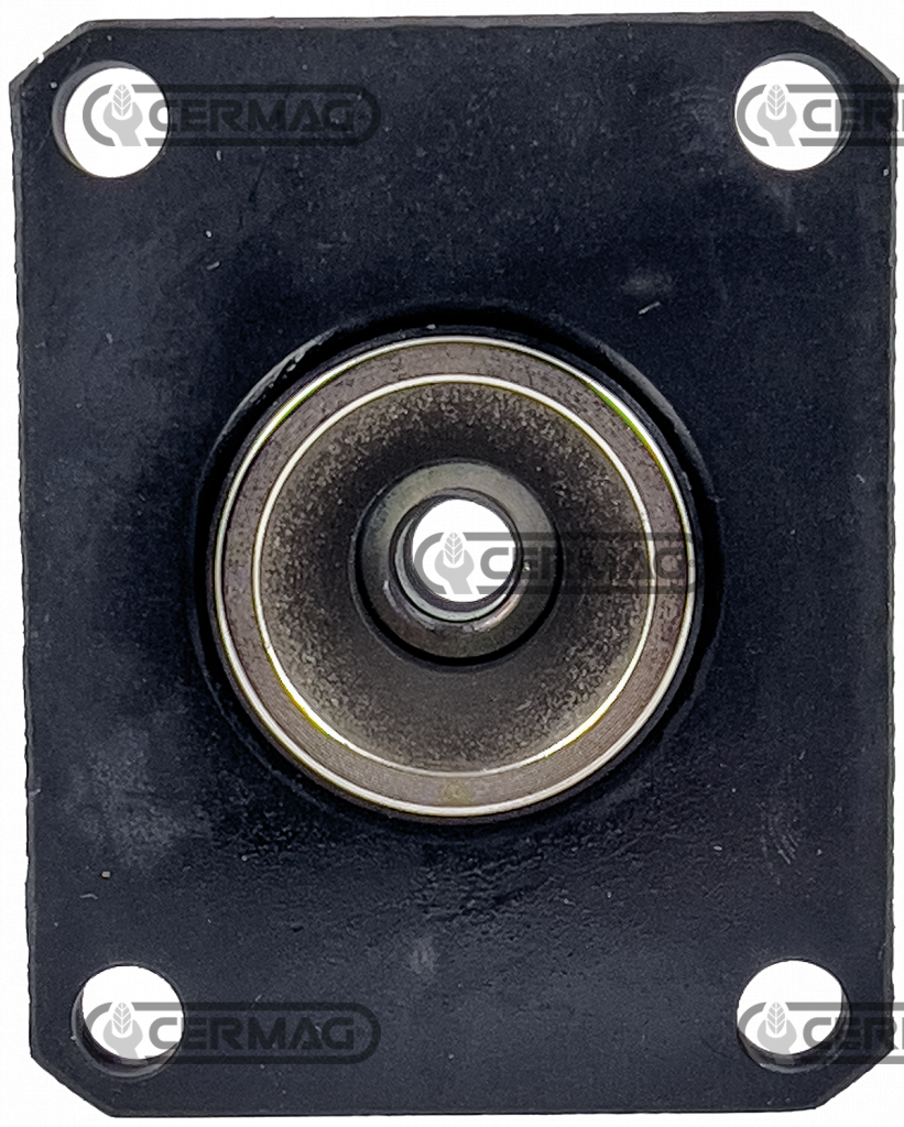 Cylindre de frein OEM GOLDONI 00043485 GOLDONI 00061687 GOLDONI Aster - Quasar - Cluster Rs Reversible / CERMAG 16252 Huile DOT 4