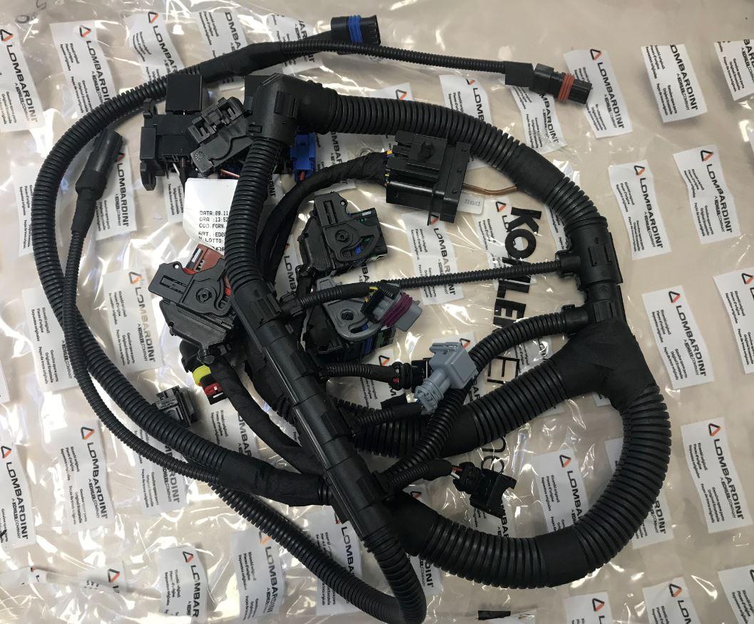 Faisceau LOMBARDINI 2186177 KOHLER ED0021861770-S /  Cablage moteur LOMBARDINI LGW523MPI