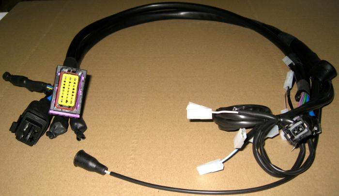 Faisceau / Cable LOMBARDINI 2186276 KOHLER ED0021862760-S