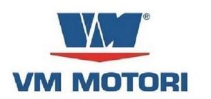 Joint Culasse HR392A VM Motori 12032138F