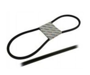 Courroie SAME Aurora 45 - Delfino - Minitauro (11469 / 2.4119074.0) / Corsaro - Minitaurus (11470 / 2.4119061.0) / Centauro 60 - Vigneron - Leon (11471 / 2.4119075.0) Centurion 75 Spécial - Leopard - Corsaro 70 syncro (11472 / 2.4119076.0) Saturno - Corsa