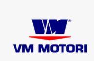 Courroie VM Motori 46510570A