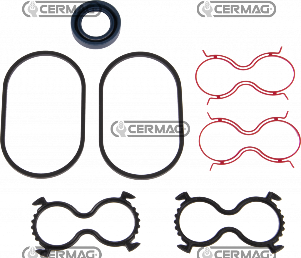 kit joints pour CASAPPA PLM20 groupe 2