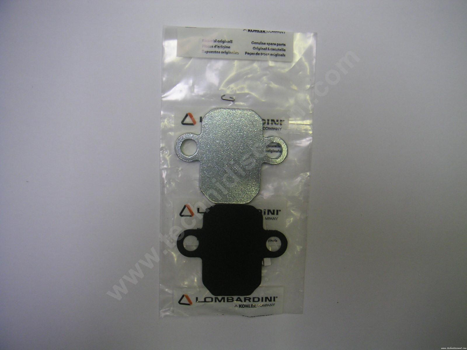 Plaque obturatrice Pompe FOCS LOMBARDINI (+ joint) ED0038000370-S + ED0044000750-S