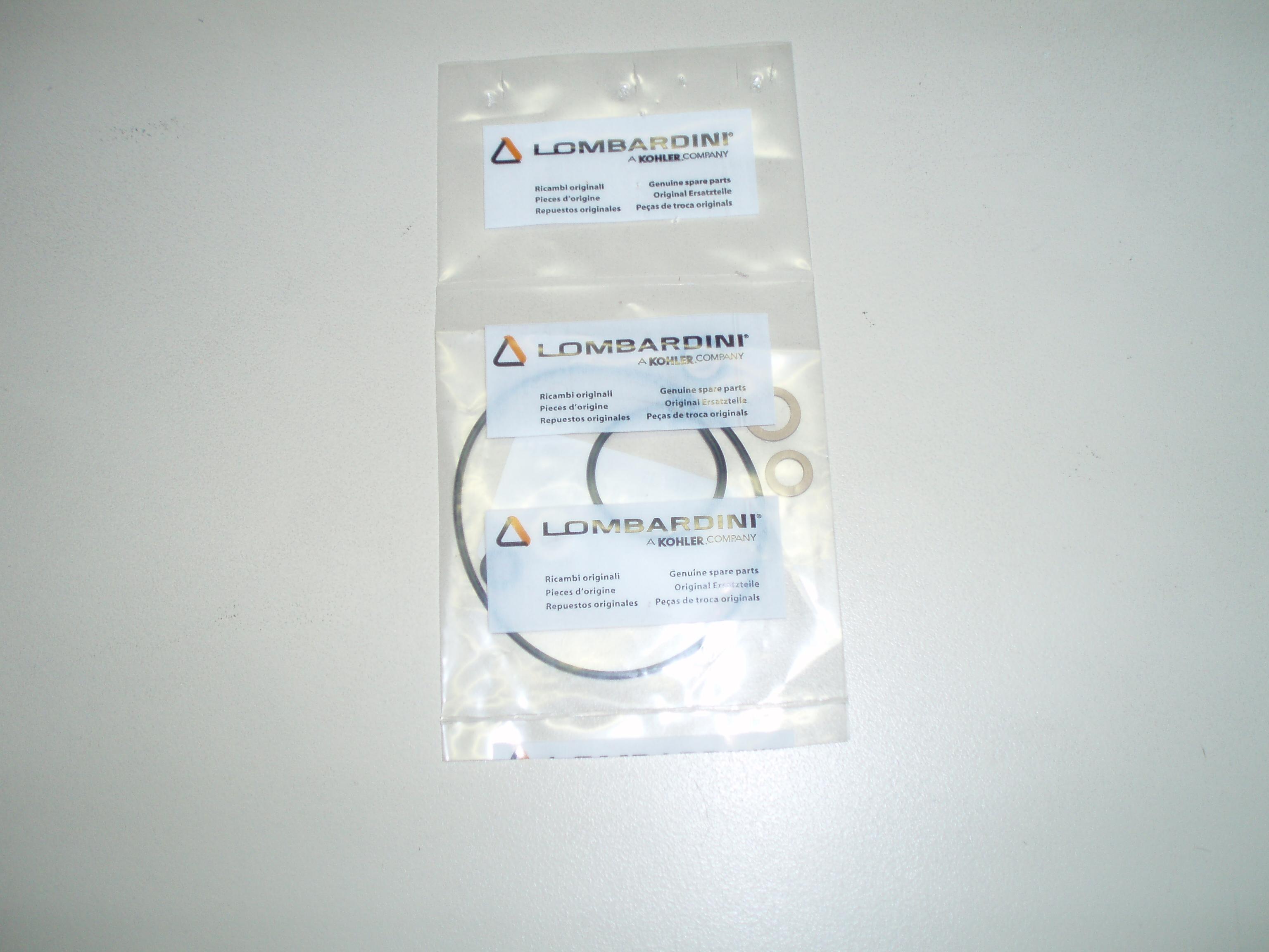 Pochette joints carburateur DELLORTO FVCA2217 FVCA2621 LOMBARDINI IM250 IM300 IM350 IM359 LOMBARDINI ED0081801670-S