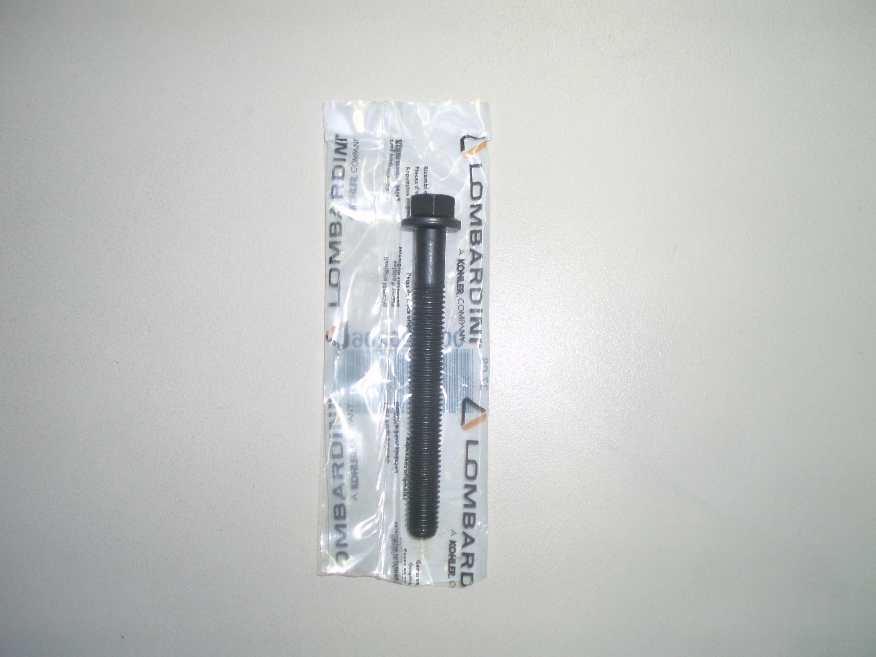 Vis de culasse LDW502 LOMBARDINI LGW523mpi - FOCS LDW502 LOMBARDINI 9820206 KOHLER ED0098202060-S LDW502M1 LDW502M2 LDW502M3 LDW502M4 PROGRESS - Automobile LIGIER