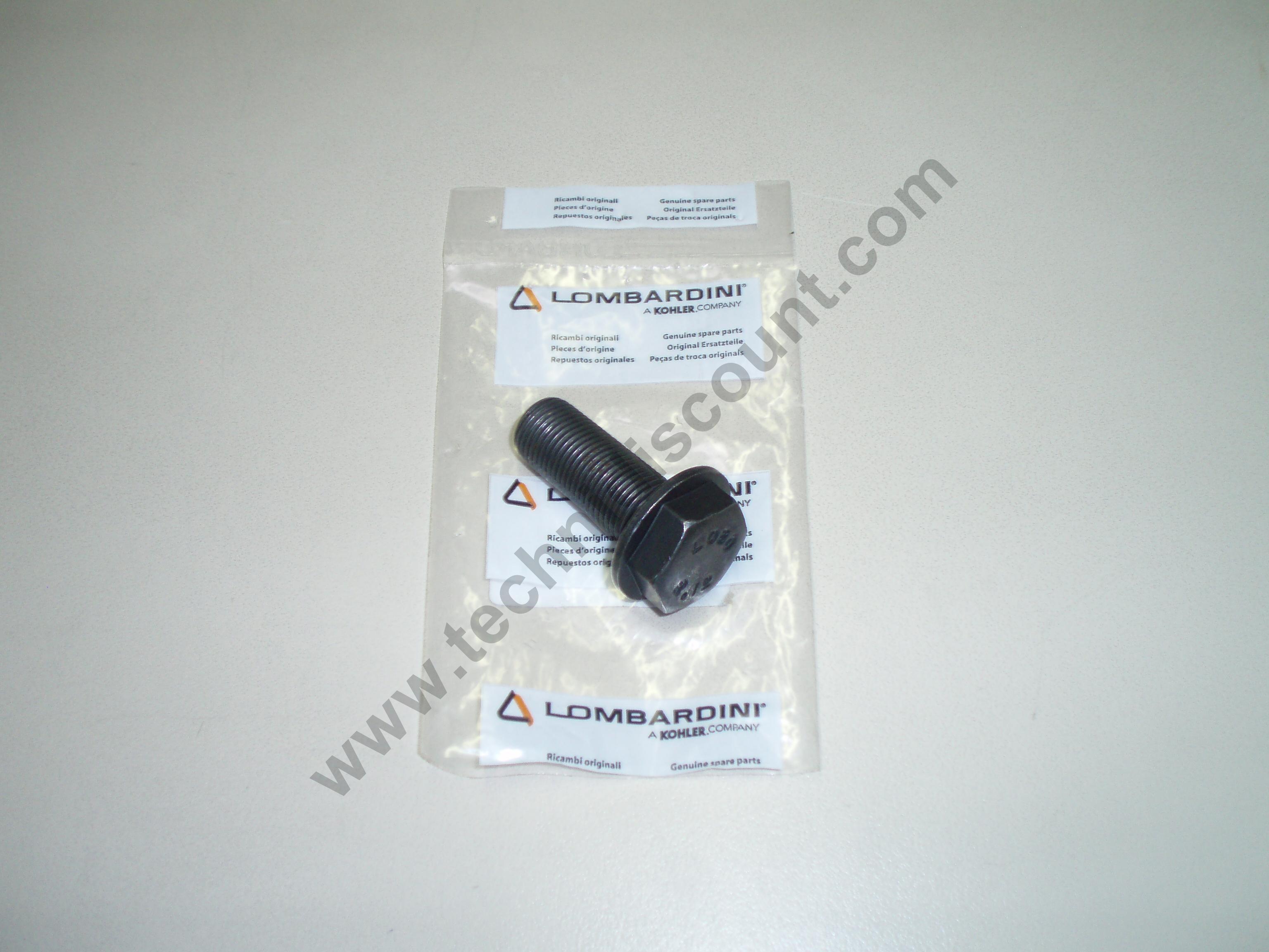 Vis vilebrequin Ø16mm FOCS CHD 9LD 12LD LOMBARDINI 9865319 ED0098653190-S - Ex. 9865258