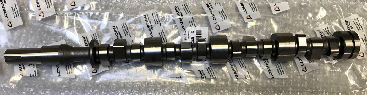 Arbre à cames LDW1204 LDW1404 SILEO LOMBARDINI 1011634 - ED0010116340-S