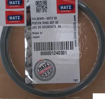 Jeu segments HATZ 2G40 HATZ 01240301 / HATZ 000001240301 - SEGMENTS Ø92mm 2mm 2mm 3,50mm