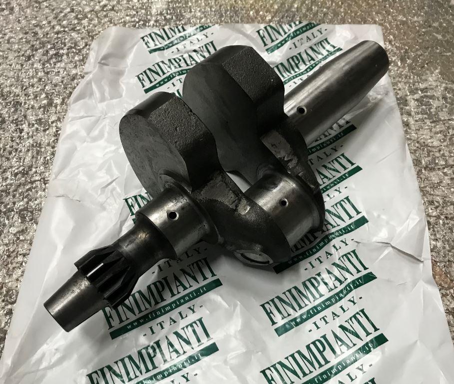 Vilebrequin version agricole LDA96 LDA100 - 4LD640 4LD705 LOMBARDINI 1050005 / FINIMPIANTI FIN019CK