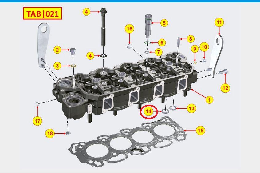 Siege de soupape admission lombardini kohler KDI3404TM - 8000367 / ED0080003670-S