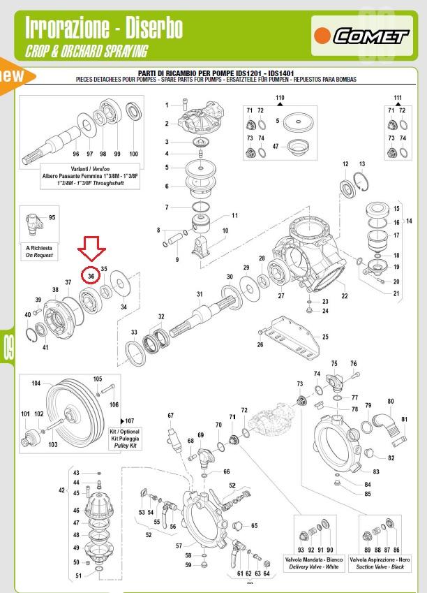 Molla / Spring Øe34x14 - COMET 18020085 ; COMET 1802 0085 / CERMAG 910803 - Pieces detaches pour pompes COMET IDS1400