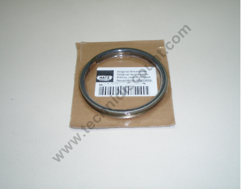 Segments HATZ 2G30 - Ø88mm 2mm 2mm 3.50mm (01223700)