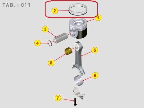 Jeu segments KDI1903 KD1903TCR - KDI2504 KDI2504TCR LOMBARDINI KOHLER - ED0082112900-S - 8211290